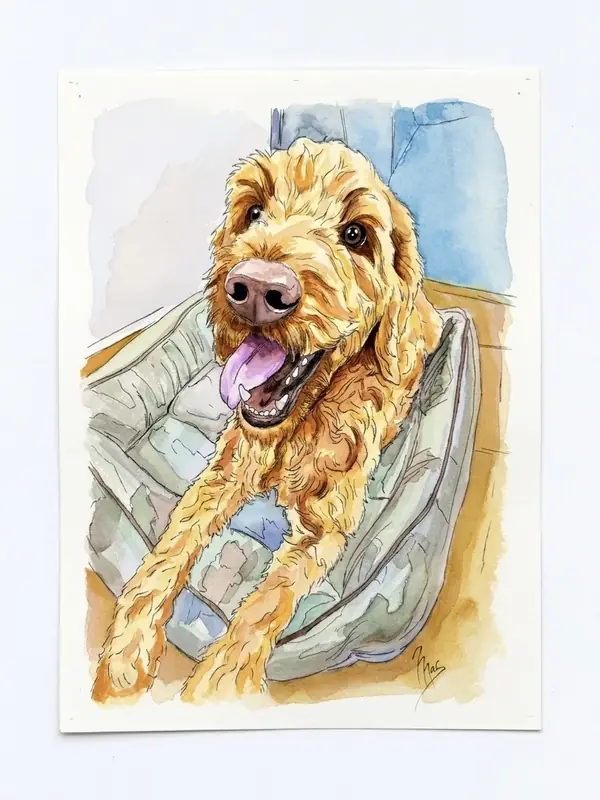Sheldon, retrato de mi perro en acuarela original hecho a mano