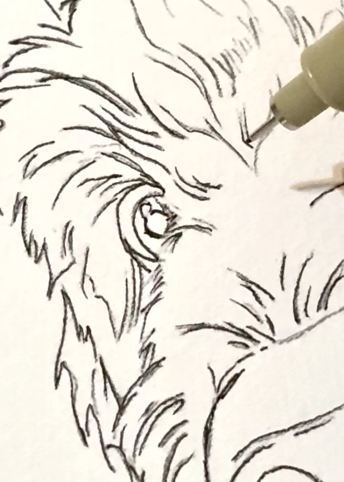 Boceto a tinta y detalle del pelaje